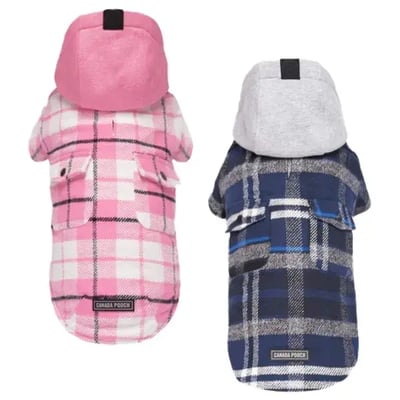 10 Best Dog Sweaters for Fall